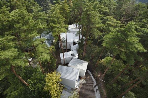 Daisen guest house in Japanese forest.