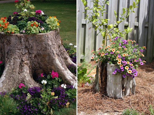 Ways To Decorate Old Tree Stumps In Garden: Flower Bed