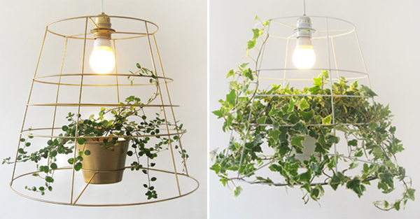 5 Plant-Friendly Lamp Designs