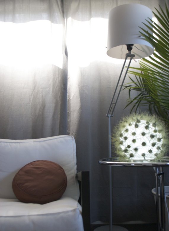 5 Plant-Friendly Lamp Designs