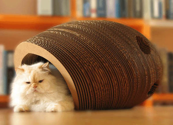 7 Coolest Pet Furniture Items
