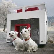 Cutest Houses and Beds for Dogs