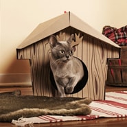 Loyal Luxe Cardboard Cat Houses