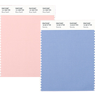 Pantone Announced Two Colors Of The Year 2016