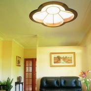 Bright Idea: Ceiling Remodeling Tips