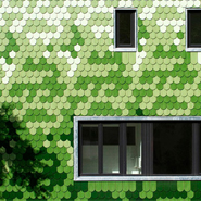 Eco-Friendly House In Berlin