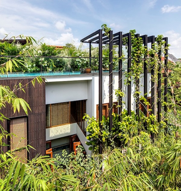 Garden Villa by Aamer Architects 
