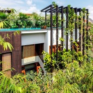 House with Vertical Garden by Aamer Architects