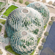 Glass Biospheres For Amazon Headquarters
