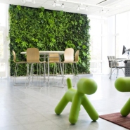 Green Decor: Vertical Garden Ideas