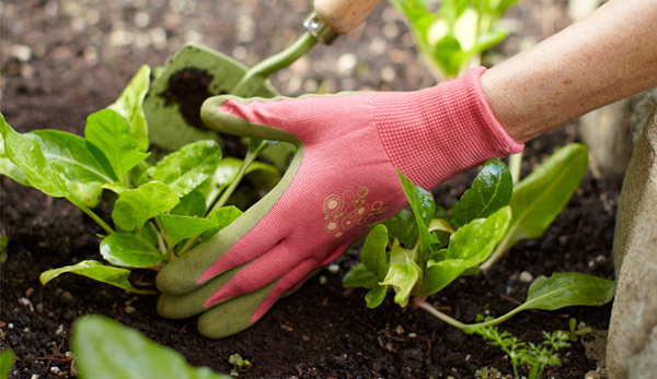 Greener Gardening Practices