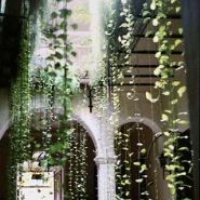Hanging Gardens In Your Home