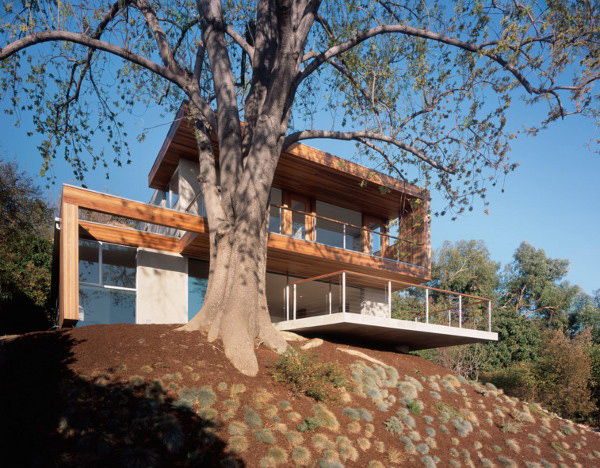 Eco-Friendly Tree House by Standard