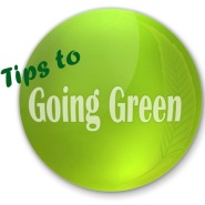 How to Go Green in Your Home