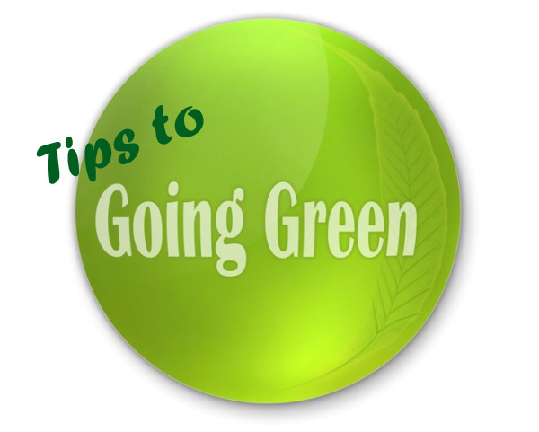 How to Go Green in Your Home