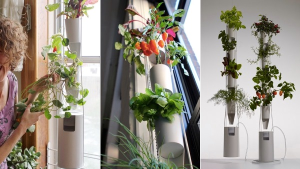 Windowfarms, mini hydroponic farm 