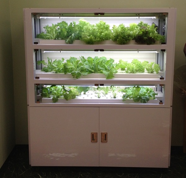 IKEDA Mini Vege, a vegetable cultivation machine