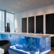 Ocean In Kitchen: Aquariums In Interior