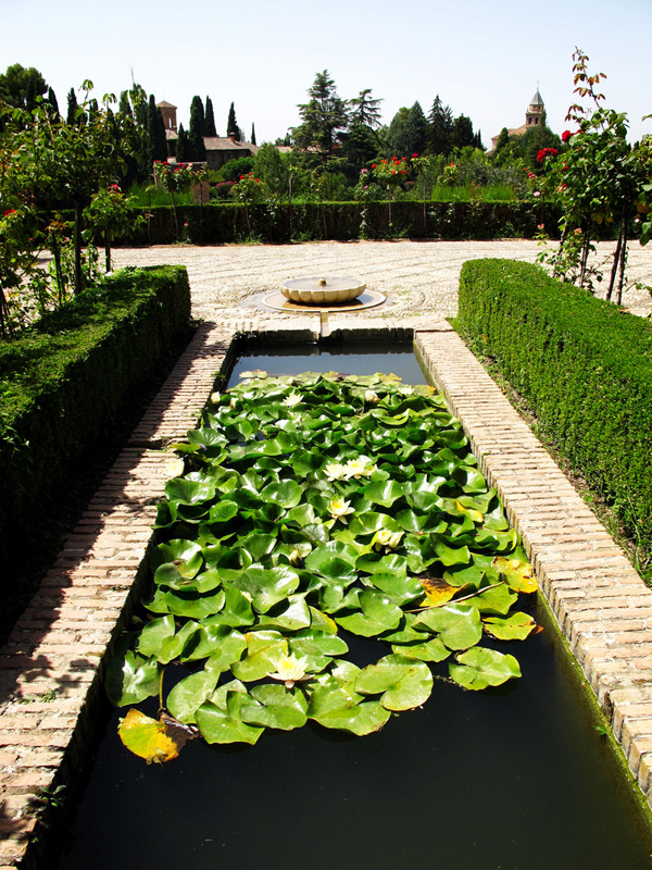 Outdoor Water Features: Pond