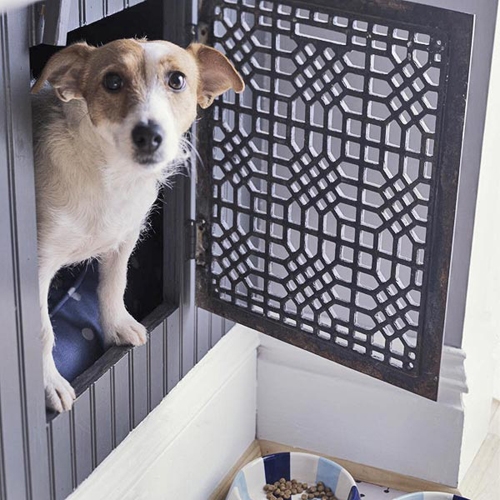 Dog in a built-in compartment