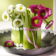 Floral Decorations for Spring
