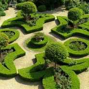 Symmetry & Order: Knot Garden