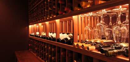 Amazing Wine Cellar Designs